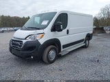 Ram Promaster  Tradesman Low Roof 136 Wb W/Pass Seat 3C6LRVVG8SE526562 fotografie