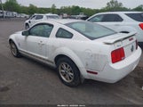 Ford Mustang V6 1ZVHT80N365135566 снимка