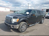Ford F-150 Fx4/Lariat/Xl/Xlt 1FTFX1EV6AKC53877 fotografie