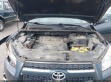 Toyota Rav4 Limited V6 JTMBK31V19D005597 photo