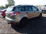 Ford Escape S 1FMCU0F78EUA68564 fotografie