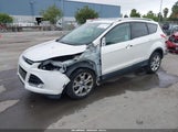 Ford Escape Titanium 1FMCU0J95GUA76391 fotografie