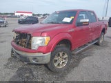 Ford F-150 Fx4/Harley-Davidson/King Ranch/Lariat/Platinum/Xl/Xlt 1FTFW1EV8AFB14409 photo