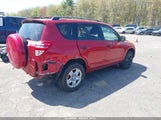 Toyota Rav4 2T3BF4DV4BW097335 photo