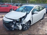Miniaturka zdjęcia 2