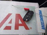 Miniaturka zdjęcia 11