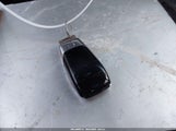 Miniaturka zdjęcia 11