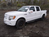 Ford F-150 Fx4/Harley-Davidson/King Ranch/Lariat/Platinum/Xl/Xlt 1FTFW1EV1AFB49390 photo