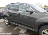 Chevrolet Equinox 1Lt 2GNFLEEKXD6141686 fotografie