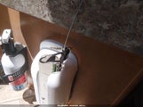 Miniaturka zdjęcia 11