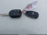 Miniaturka zdjęcia 11