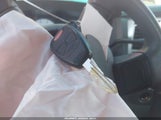 Miniaturka zdjęcia 11
