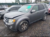 Ford Escape Limited 1FMCU94G79KB39813 снимка