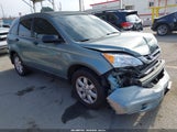 Honda Cr-V Se 5J6RE3H42BL018867 снимка