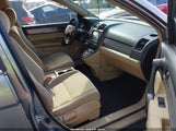Honda Cr-V Se 5J6RE3H42BL018867 снимка