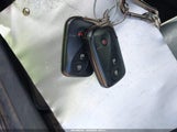 Miniaturka zdjęcia 11