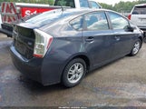 Miniaturka zdjęcia 4
