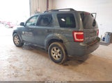 Ford Escape Xlt 1FMCU9D70AKC24111 снимка