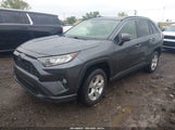 Toyota Rav4 Xle JTMP1RFV7KD009986 photo