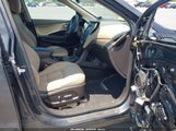 Miniaturka zdjęcia 5