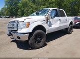 Ford F-150 Fx4/Harley-Davidson/King Ranch/Lariat/Platinum/Xl/Xlt 1FTFW1EV1AFD74327 fotografie