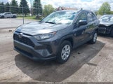 Toyota Rav4 Le JTMF1RFV9KD025229 снимка