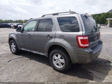 Ford Escape Xlt 1FMCU93G59KA69715 снимка