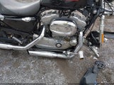 Harley-Davidson Xl883 1HD4CAM114K418710 снимка
