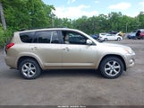 Toyota Rav4 Limited JTMZF31VX95003439 снимка