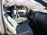 Ford F-150 Xlt 1FTFW1EF3EFB42391 снимка