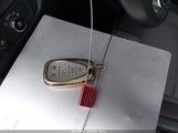 Miniaturka zdjęcia 11