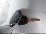Miniaturka zdjęcia 11