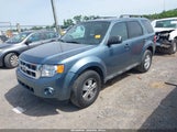 Ford Escape Xlt 1FMCU0D73BKA19556 снимка