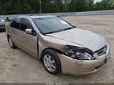 Miniaturka zdjęcia 6