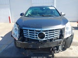 Cadillac Srx Luxury Collection 3GYFNCE34DS561939 снимка