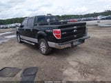 Ford F-150 Xlt 1FTFW1EF7EKD78520 снимка