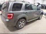 Miniaturka zdjęcia 4