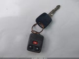 Miniaturka zdjęcia 11