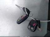 Miniaturka zdjęcia 11