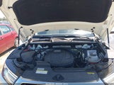 Miniaturka zdjęcia 10