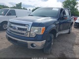 Ford F-150 Xlt 1FTEW1CM2DKE44256 снимка