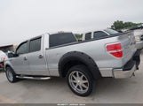 Ford F-150 Fx2 Sport/Xl/Xlt 1FTEW1C82AFB19257 photo