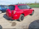 Toyota Rav4 JTMBF4DVXAD029360 fotografie