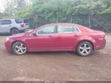 Chevrolet Malibu Lt 1G1ZJ57B89F209501 снимка