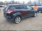 Miniaturka zdjęcia 4