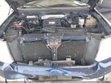 Miniaturka zdjęcia 10