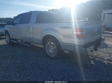 Ford F-150 Fx4/Harley-Davidson/King Ranch/Lariat/Platinum/Xl/Xlt 1FTFW1EV9AFC00392 снимка