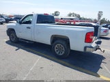 Chevrolet Silverado  Work Truck 1GCNCPEX7BZ203803 снимка