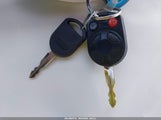 Miniaturka zdjęcia 11