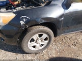 Toyota Rav4 JTMZD33V165011203 снимка